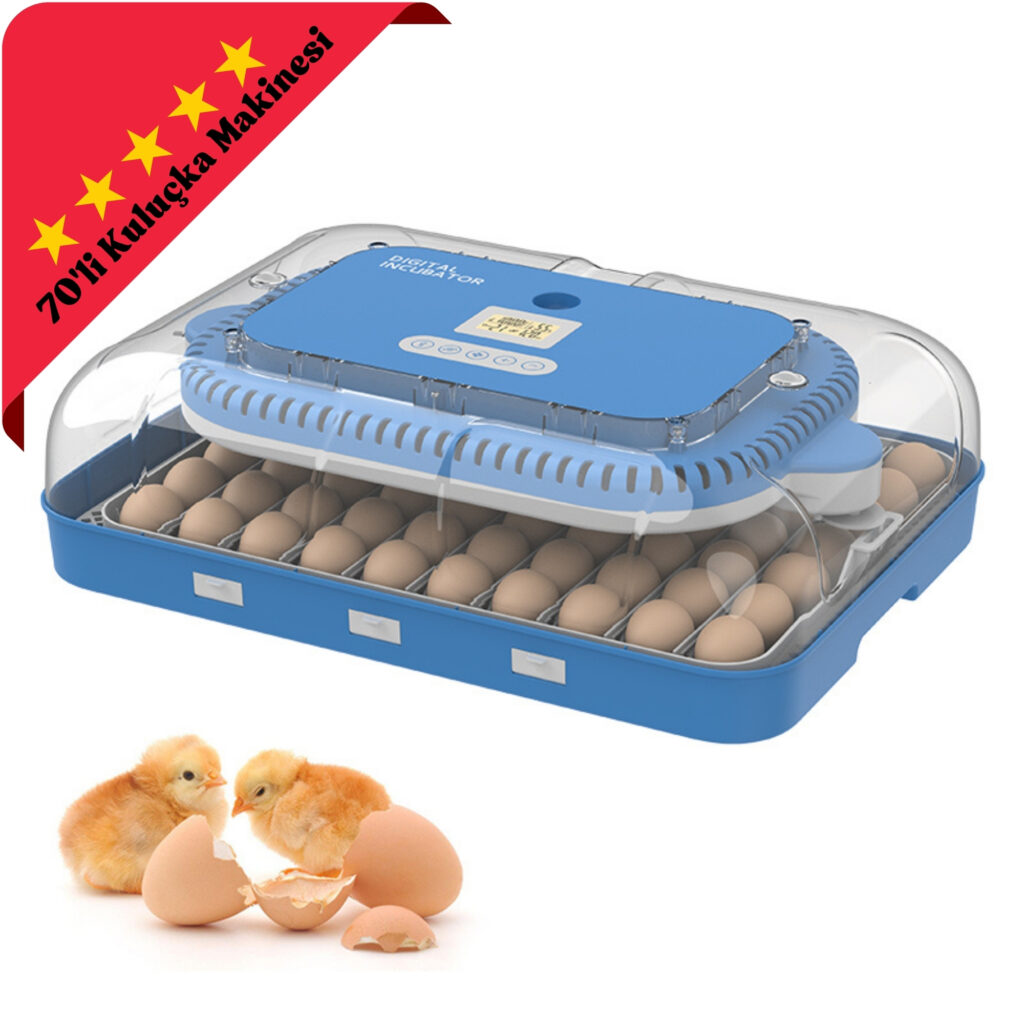 civciv-büyütme-kafesi-dogal-kulucka-makinesi-satin-al