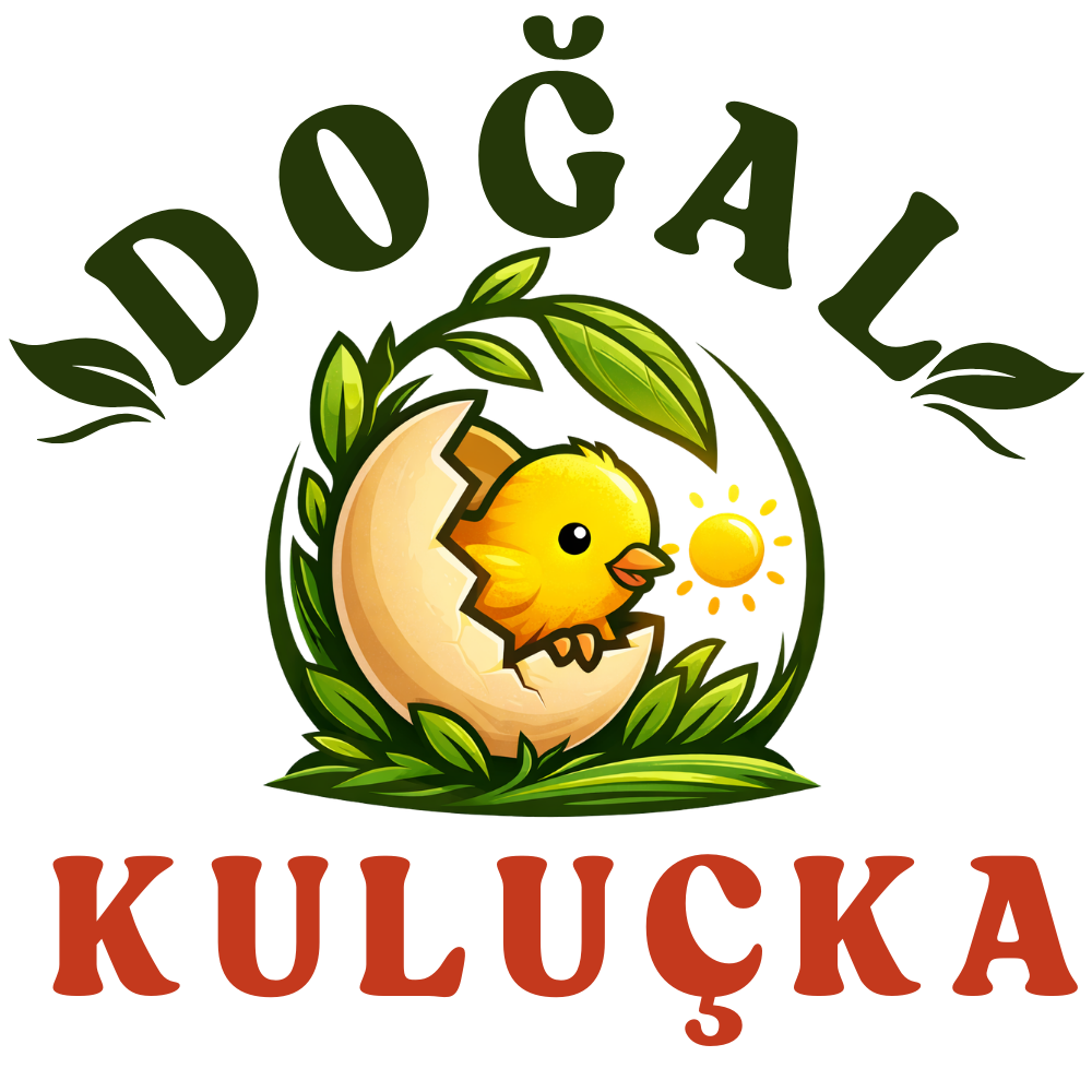 doğal-kulucka-satin-al