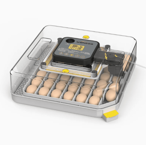 ev-tipi-kuluçka-makinesi-satın-al