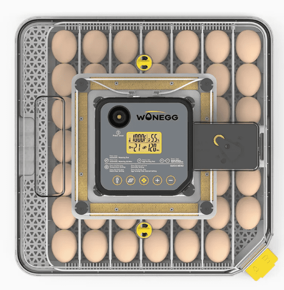 48'li Kuluçka Makinesi – Ev Kullanımı için Civciv Çıkarma Makinesi
