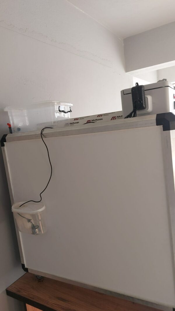 profesyonel-doğal-kuluçka-makinesi-satın-al